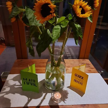 Medrazerhof 3* Fulpmes