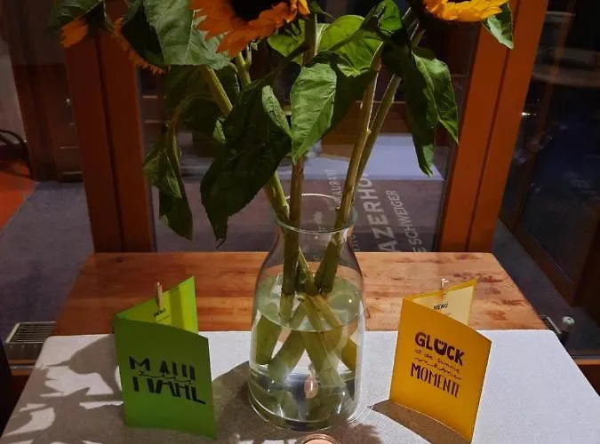 Medrazerhof 3* 富尔普梅斯