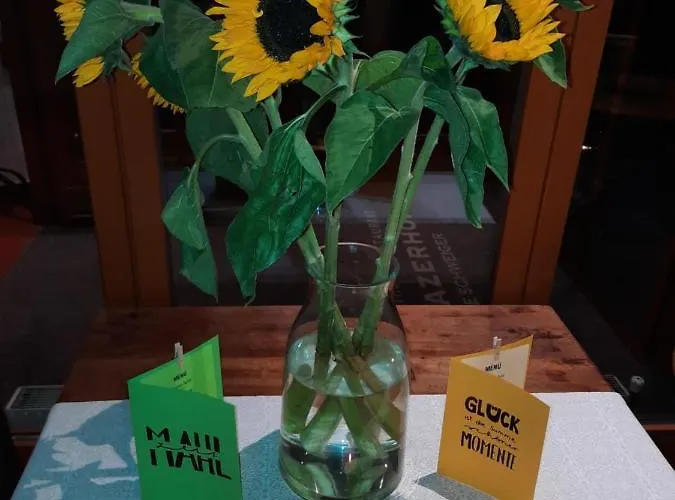 فندق Medrazerhof